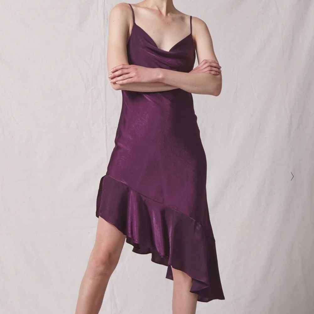 🌟HP🌟 NEW Allen Schwartz Pippa Slip Dress Plum 2